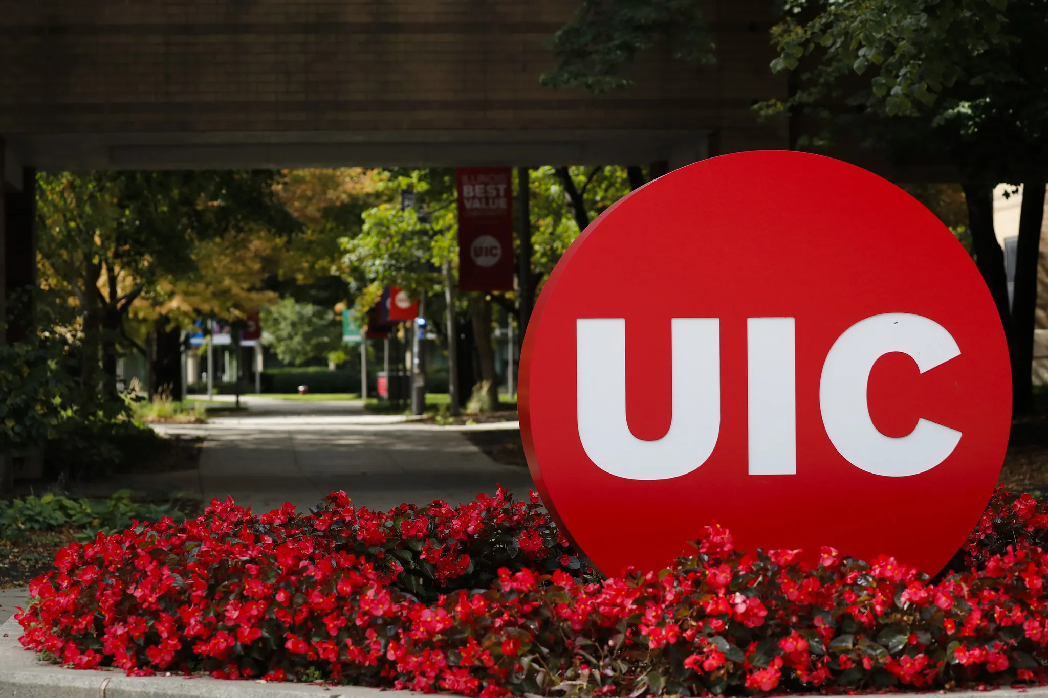 Francesco at UIC